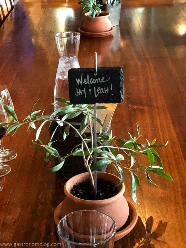 Plant with welcome sign in terra cotta pots, water carafe and wine glasses on wooden table