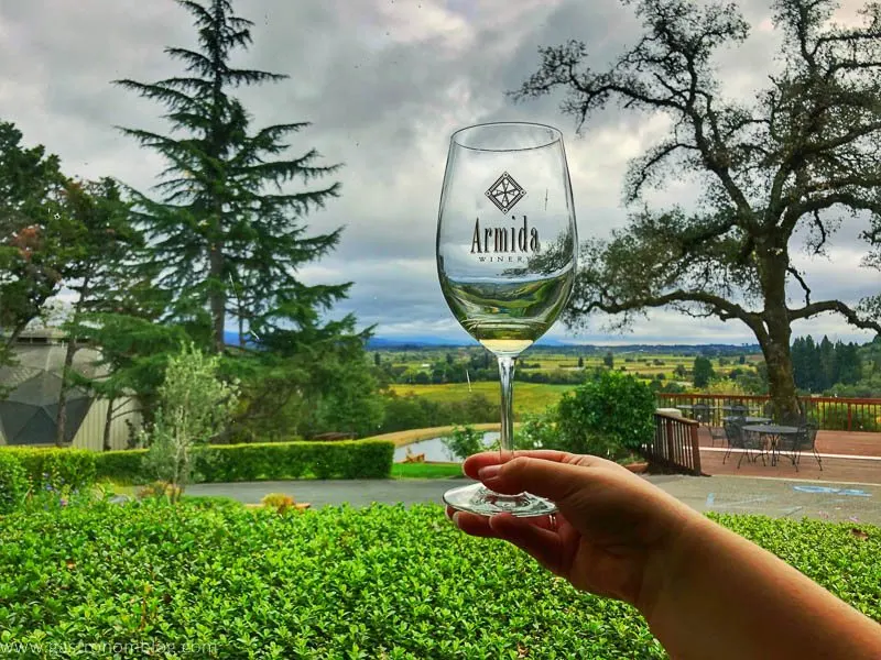 Sipping a white wine at Armida Winery and looking at the view over the Dry Creek Valley. Holding up a glass of white wine in front of the view