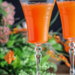 Orange cocktails in wine glasses