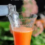Orange cocktail in wine glass