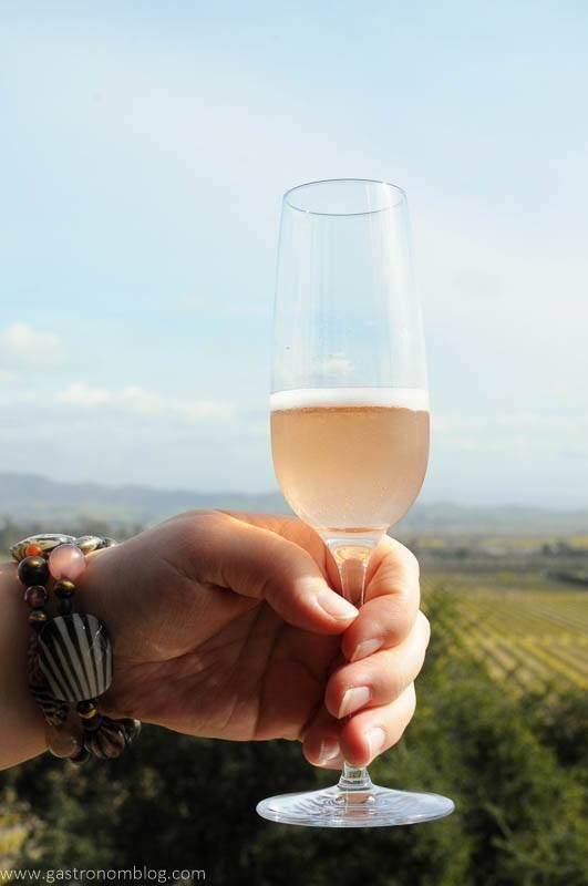 Hand holding a champange flute filled with Gloria Ferrer Blanc de Noirs Sparkling wine in front of a vista of the Sonoma Valley.