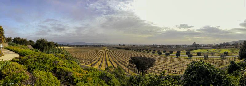 The view from the tasting terrace at Gloria Ferrer Caves and Vineyards in Sonoma Valley.