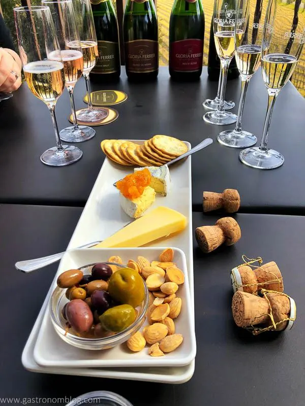 Plate with cheeses, nuts and olives. Champagne glasses and bottles in back