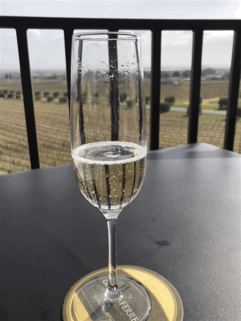 Sparkling wine in a chapagne flute.
