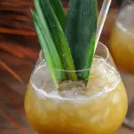 cocktail in glass with pineapple fronds