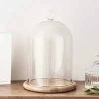 Glass Cloche Bell Jar Display Dome with Bamboo Base - 9" x 6"