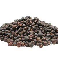 Whole Juniper Berries, Dried - 4 Ounces - Brewing Botanical and Traditional Spice
