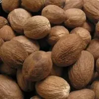 Indian Spice Nutmeg Whole 3.5oz