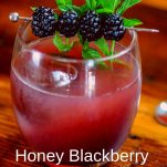 Honey Blackberry Shrub Cocktail is in a glass, topped with blackberries and mint