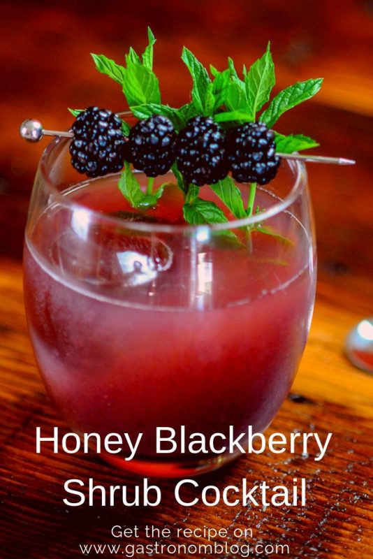 Blackberry Cocktal is in a glass, topped with blackberries and mint