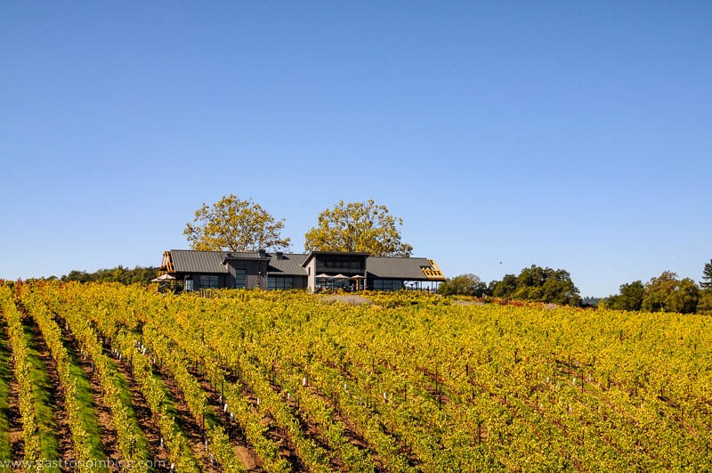 The tasting room of MacRostie Winery in Sonoma County, Caifornia sits atop a hill surrounded by grape vines.