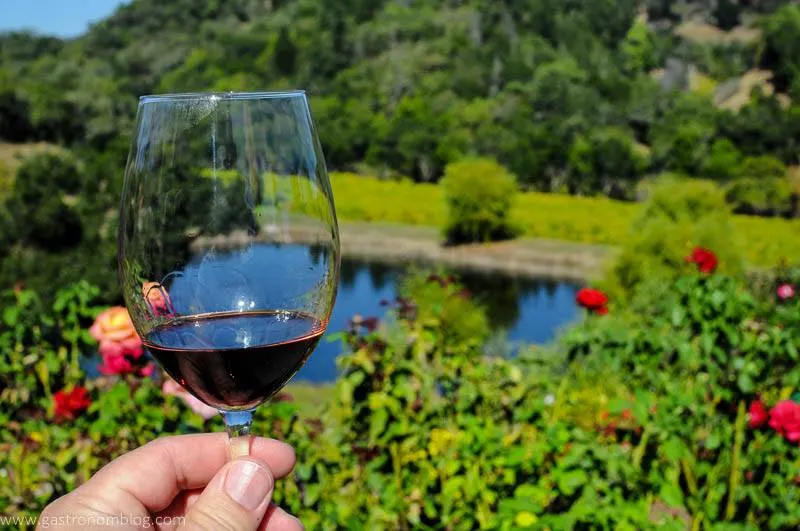Ly cocktail đỏ tươi từ Sonoma County với cảnh quan hồ nước và vườn hoa