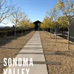 Walkway into a winery