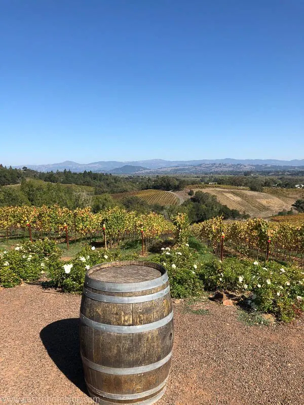 A barrel, and overlooking the Russian River Valley
