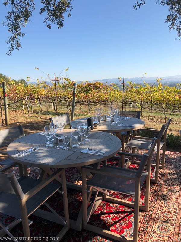 Chairs and table on a rug in the middle of the vineyard
