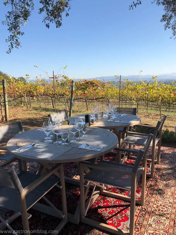 Chairs and tables set on a carpet in the vineyard for a picnic