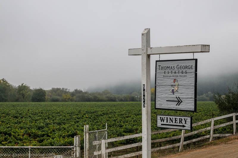 Vineyard view, and sign pointing to Thomas George Estates