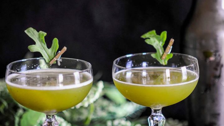 Green cocktail in coupes with green leaves pinned on