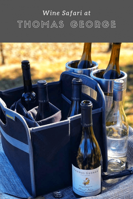 Wines - red and whtie on a table in a bag
