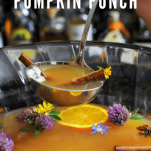 Ladle of pumpkin punch from punch bowl
