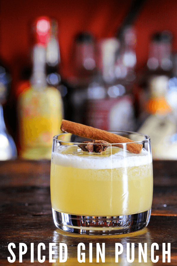 Spiced Gin Punch in rocks glass with cinnamon stick