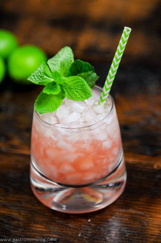 Ginger beer mocktail in glass with mint