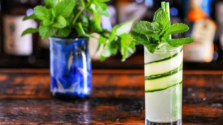 tall glass lined with cuucmber slices, mint garnish, blue glass behind filled with mint