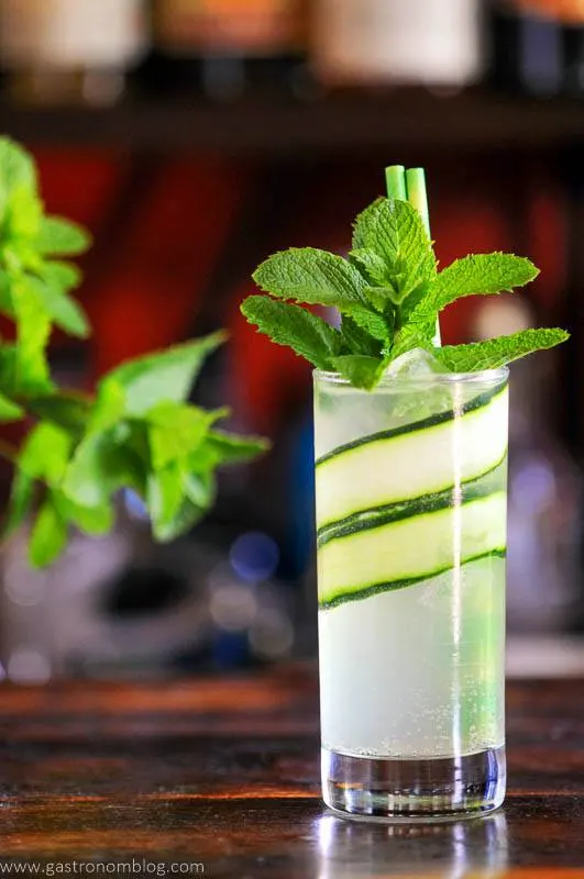Cucumber cooler cocktail with glass lined by cucumber slices, mint garnish