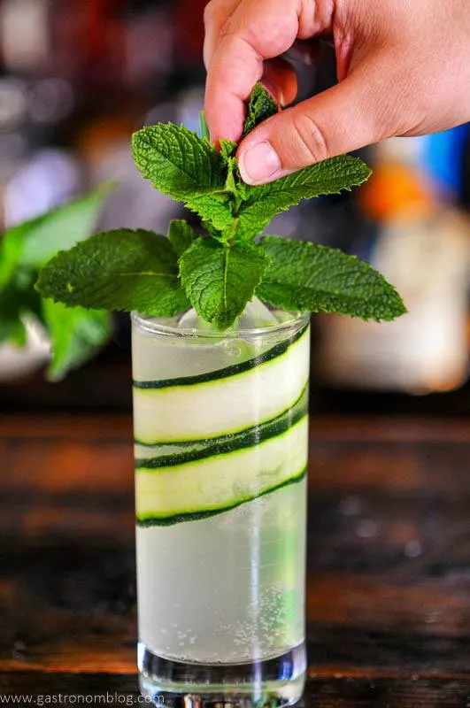 tall glass cocktail lined with cucumber slices, topped with mint garnish put there by a hand