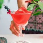 Red cocktail in coupe, berries on pick, hand holding glass