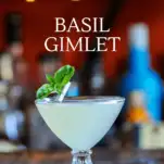 Basil Gimlet cocktail in coupe with basil leaf clothespinned onto glass