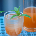 Orange cocktail in glass and decanter. Lemon verbena garnish