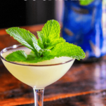 Southside ccoktail recipe in a coupe with a mint bunch on top