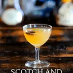 Scotch and apple cider cocktail in coupe with star anise garnish