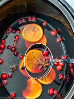 cropped-Cranberry-Wine-Pear-Brandy-Hot-Punch-2.jpg