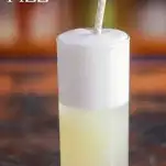 Gin Fizz cocktail recipe in a tall glass with a straw