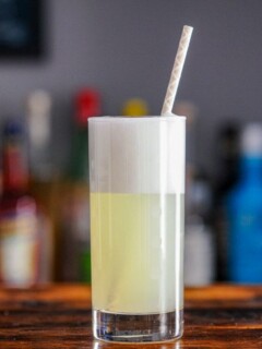 cropped-Gin-Sour-Classic-Cocktail-11.jpg