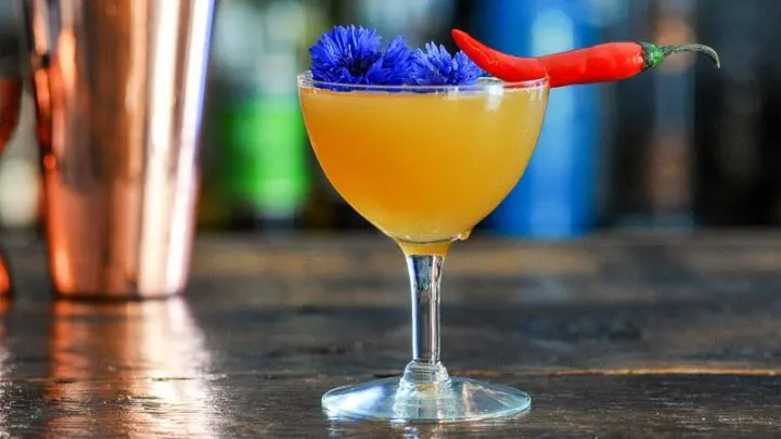 Hot Honey Cocktail in coupe with chili pepper and edible flower