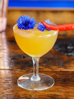 Hot Honey Cocktail in coupe with chili pepper and edible flower
