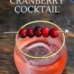 Cranberry cocktail recipe in glass with clear ice, cranberries on cocktail pick