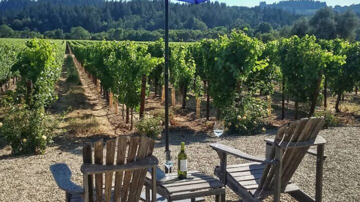 Wooden chairs facing a vineyard, table between with wine, all under a blue umbrella