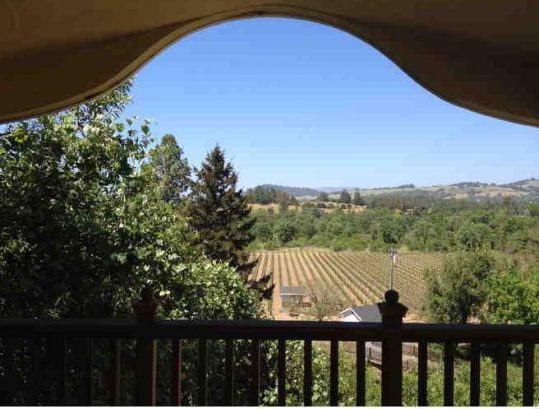 View of vineyard from deck with arched roof