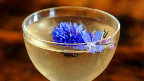 opaque cocktail in coupe with purple flower on top