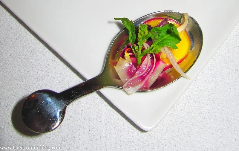 top shot spoon with melon, radish and greens