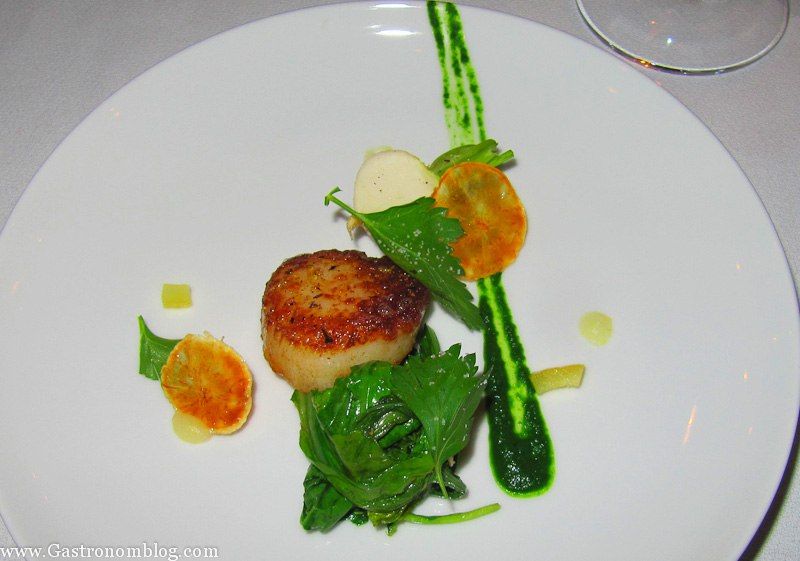 Top shot of scallops with greens on white plate