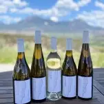 5 wines in front of mountain backdrop
