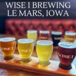 Beers in glasses at Wise I Brewing in Le Mars Iowa
