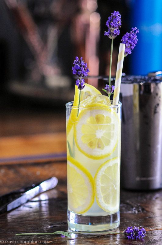 Tall glass lined with lemon slices, this Lavender Collins is a great refreshing and bright yellow cocktail!