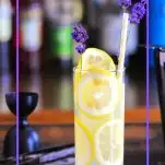 Tall glass lined with lemon slices, this Lavender Collins is a great refreshing and bright yellow cocktail!