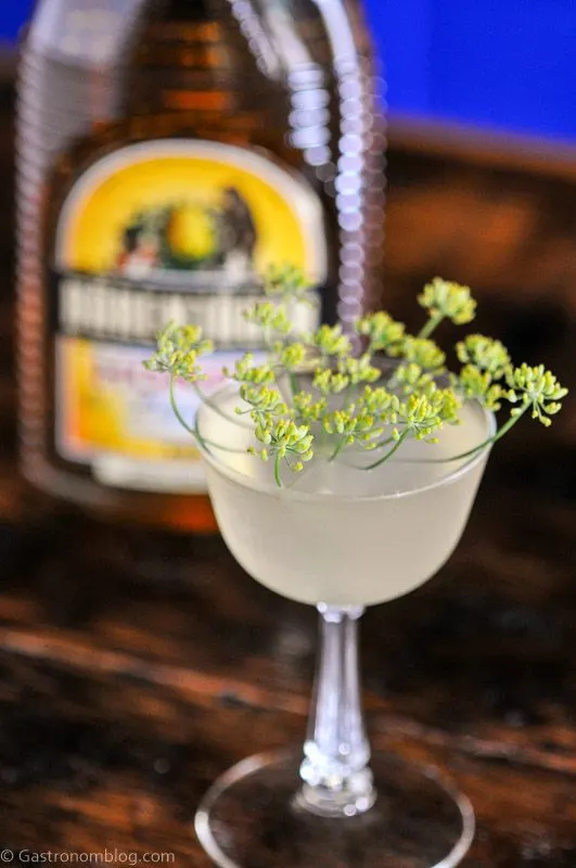 Yellow cocktail in coupe with dill flower, Barenjager honey liqueur bottle behind